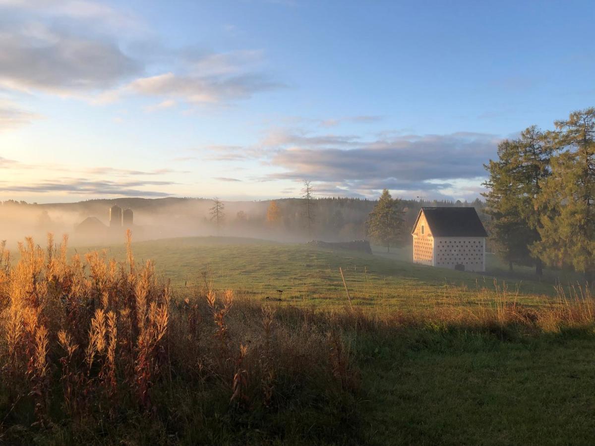 Taettas Stuga Pa Malingsbo Herrgard Vila Exterior foto